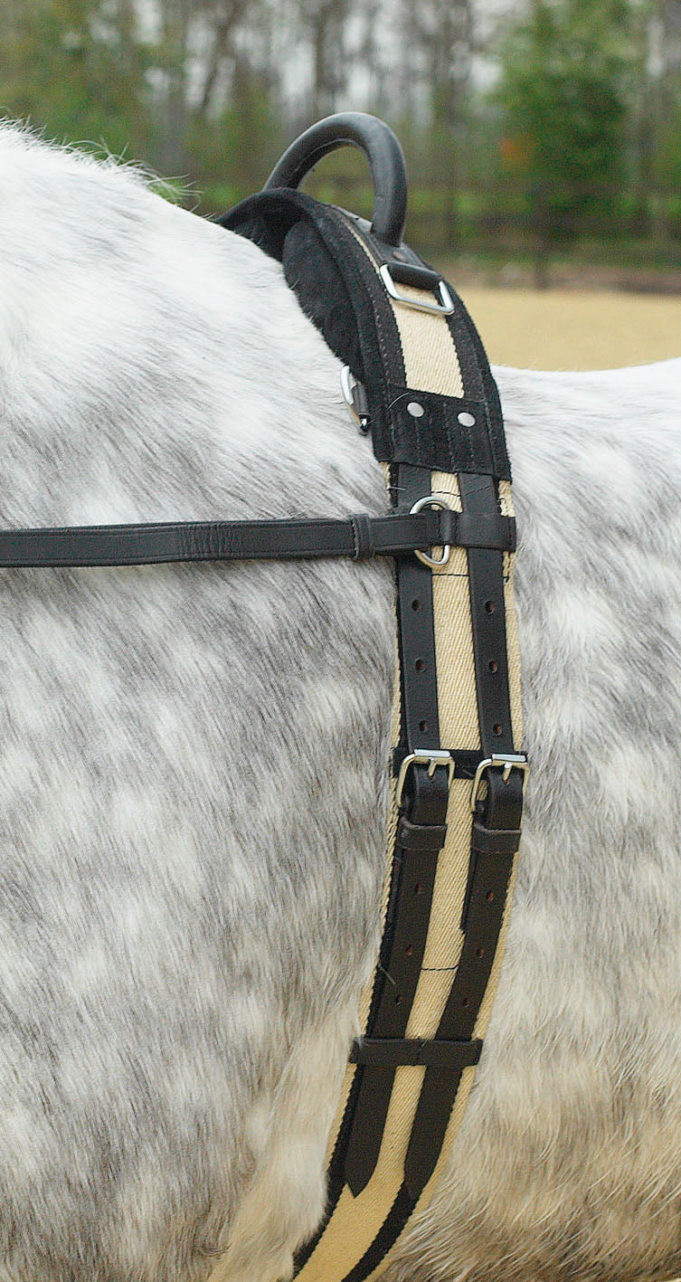 Longiergurt mit Handgriff, Voltigiergurt in schwarz und blau