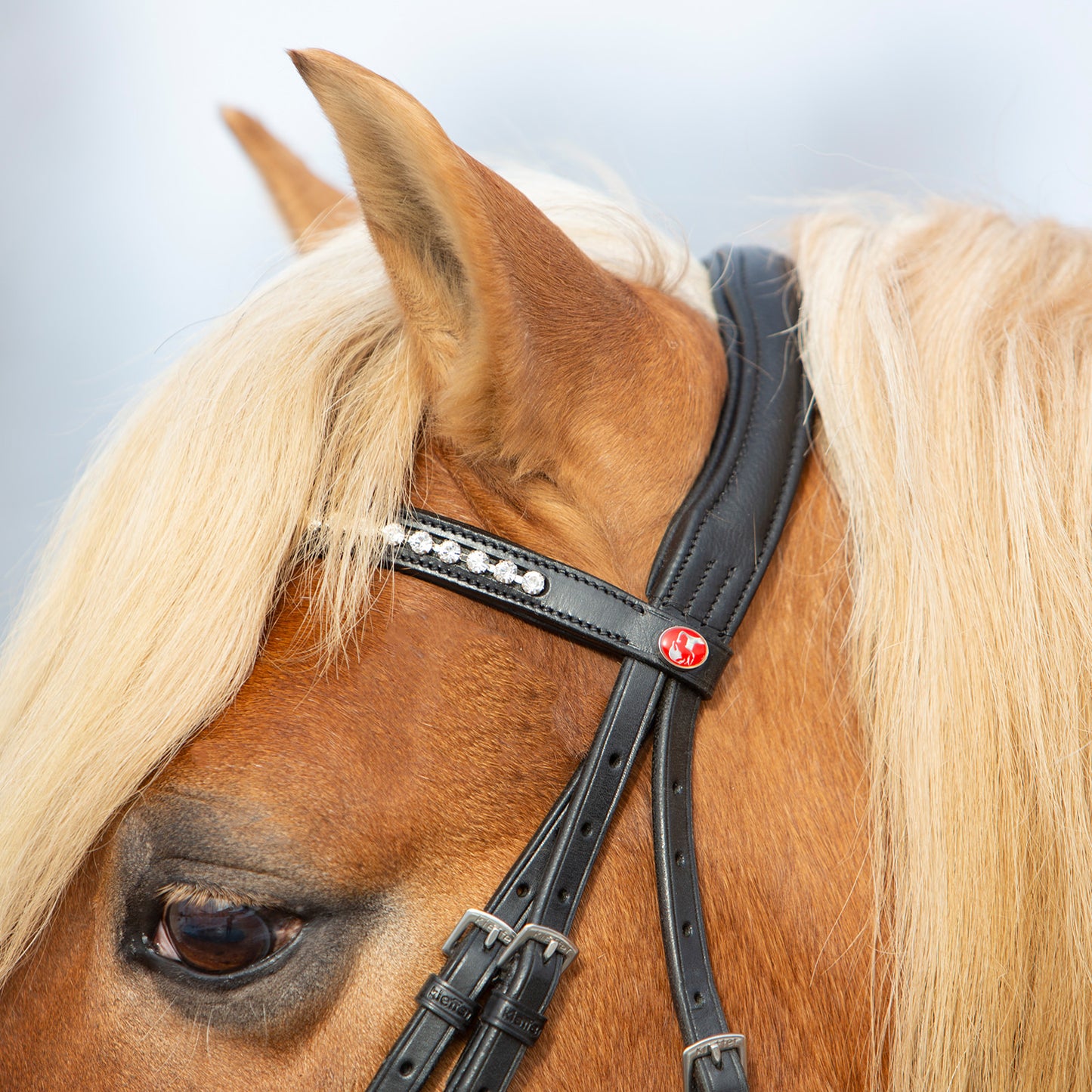 Kieffer Trensenzaum Ultrasoft® Haflinger in zwei Farben