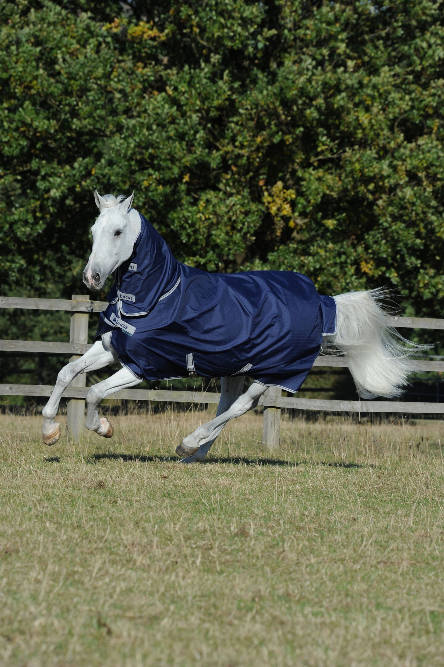 Bucas Freedom Turnout 0 g Full Neck, Outdoordecke