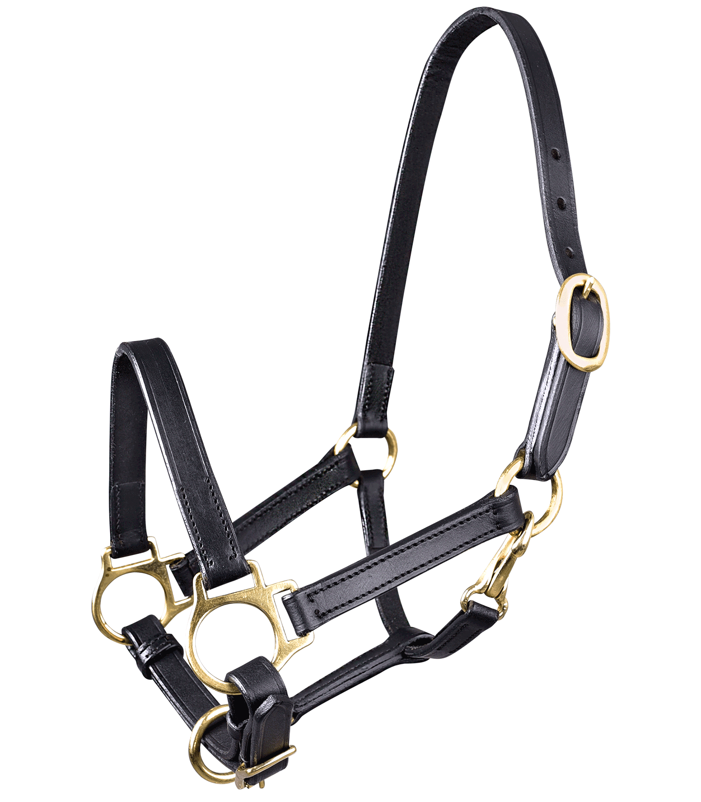 Waldhausen STAR Leder Fohlenhalfter