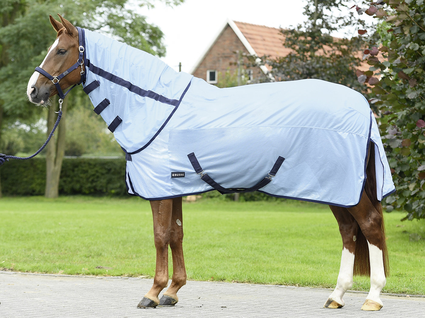 Busse Paddock-Fliegendecke Halsteil abnehmbar