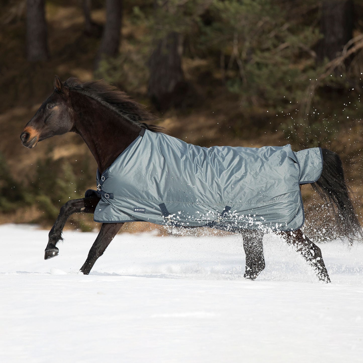 Outdoordecke WINDCHILL 100, Paddock- und Regendecke in zwei Farben