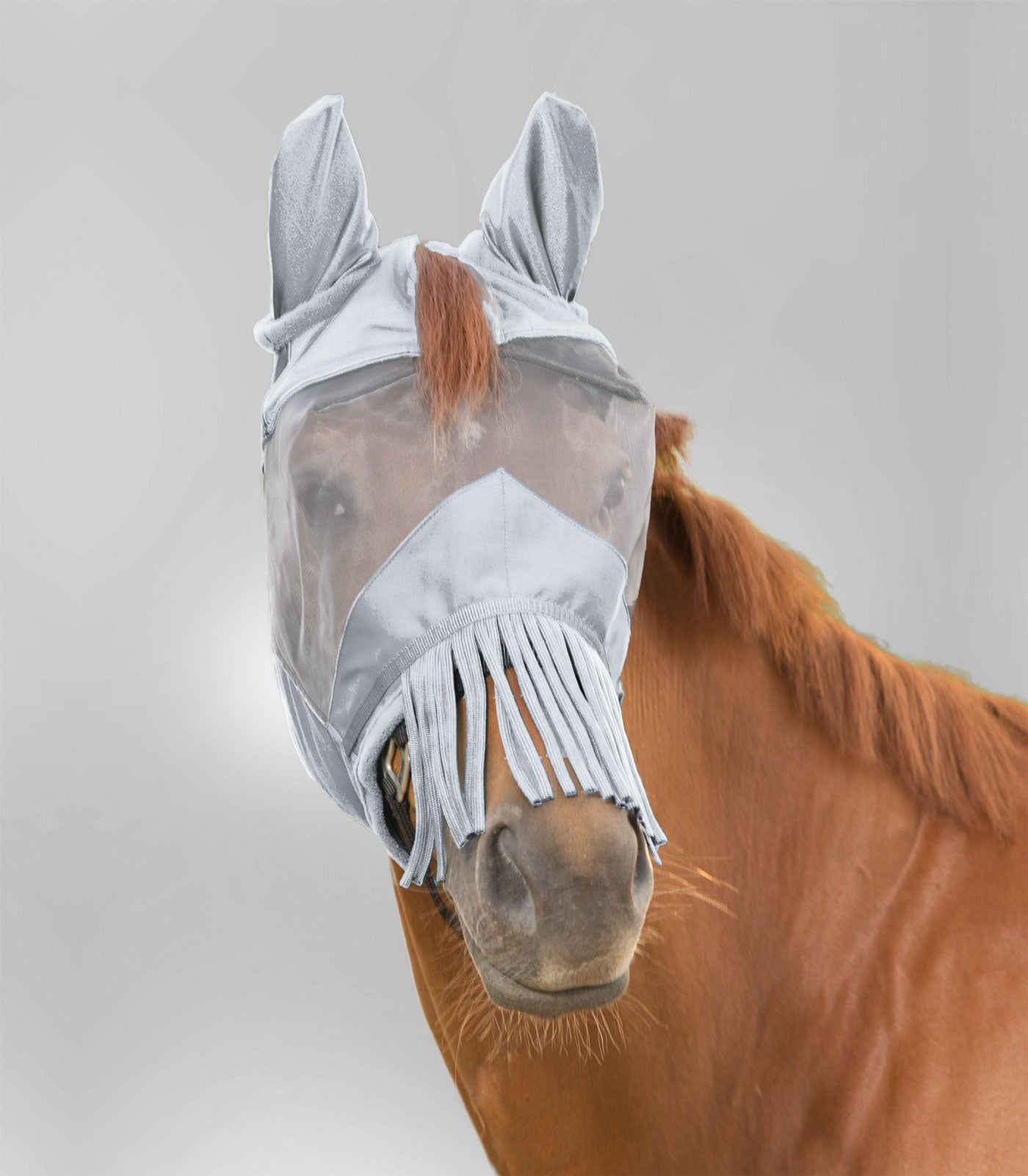 Waldhausen PREMIUM Fliegenmaske mit Ohrenschutz und Nasenfransen