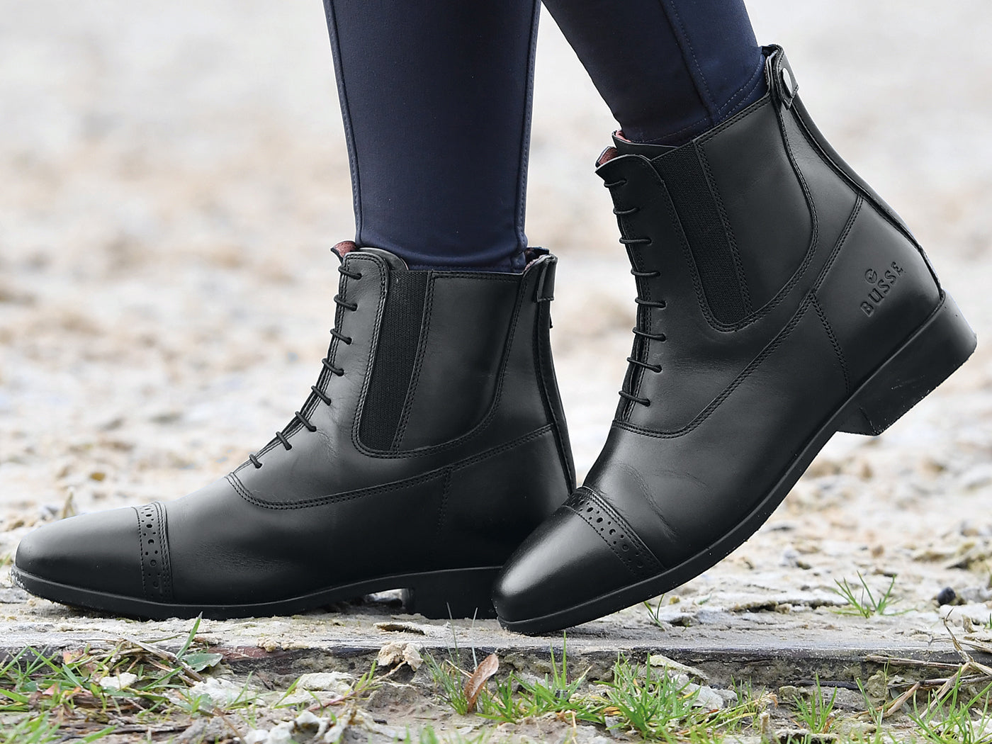 Jodhpur-Stiefelette APIA-LACES Reitstiefeletten in schwarz und braun