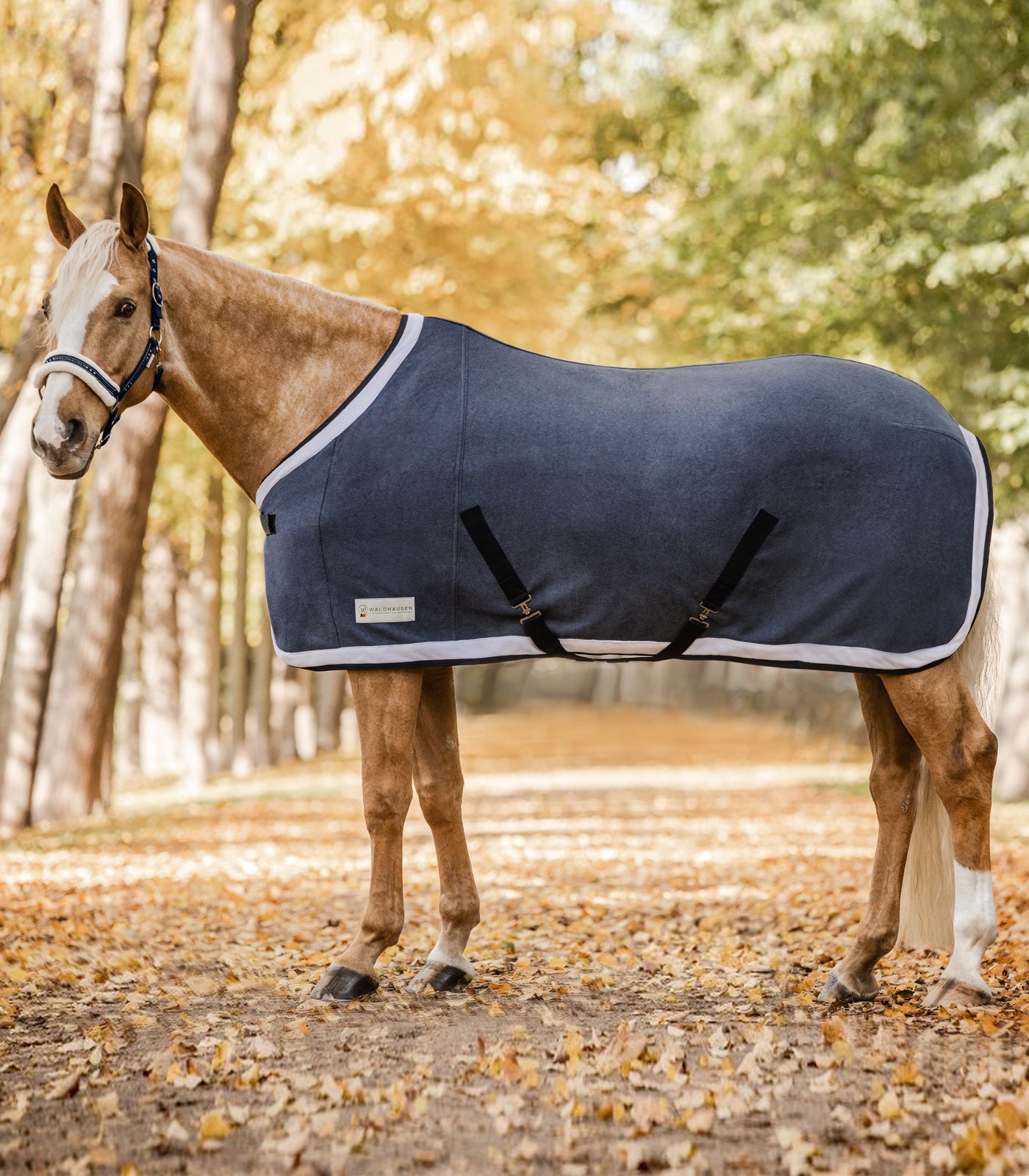 Waldhausen COMFORT Fleecedecke Esperia Two, Abschwitzdecke