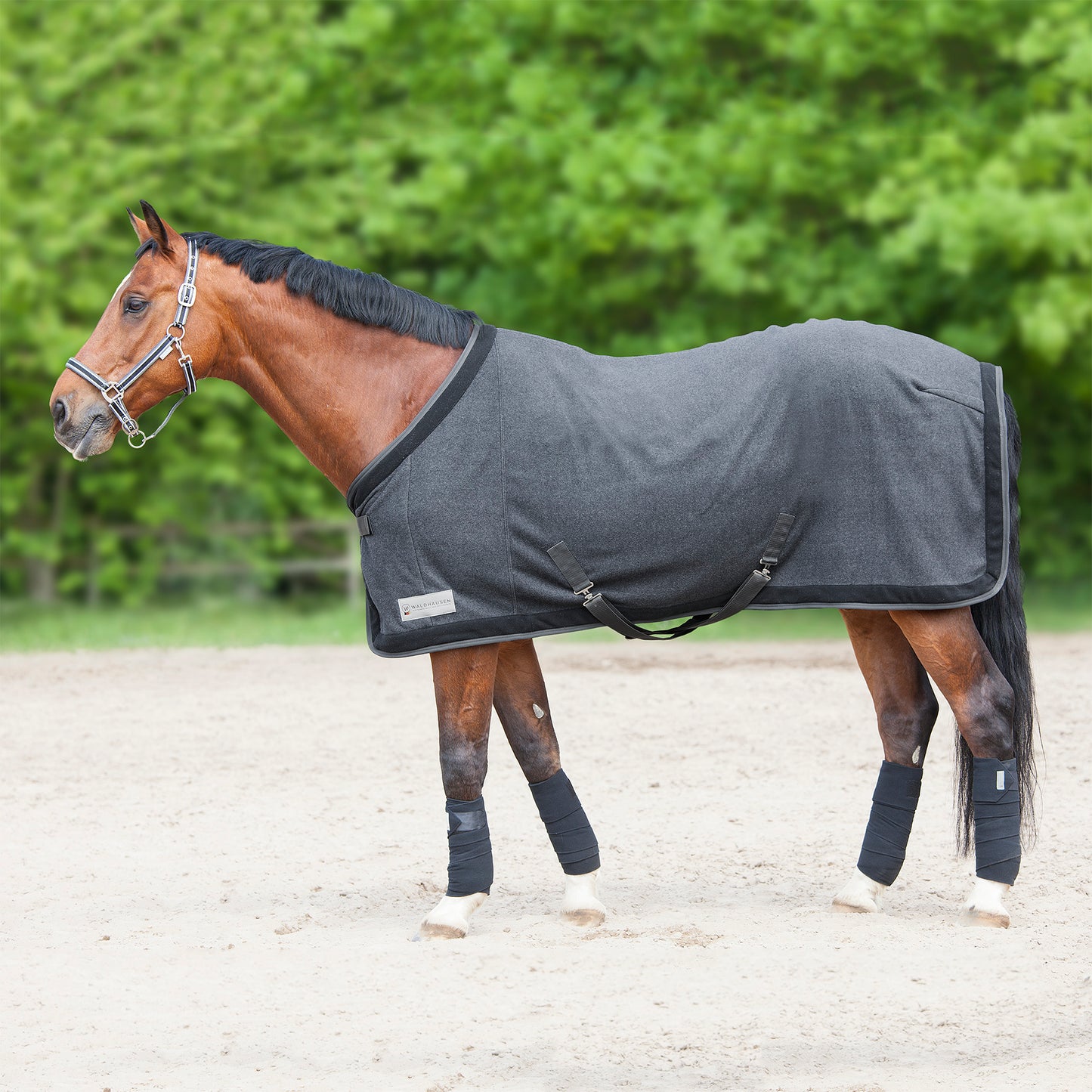 Waldhausen COMFORT Fleecedecke Esperia Two, Abschwitzdecke, magnet/schwarz