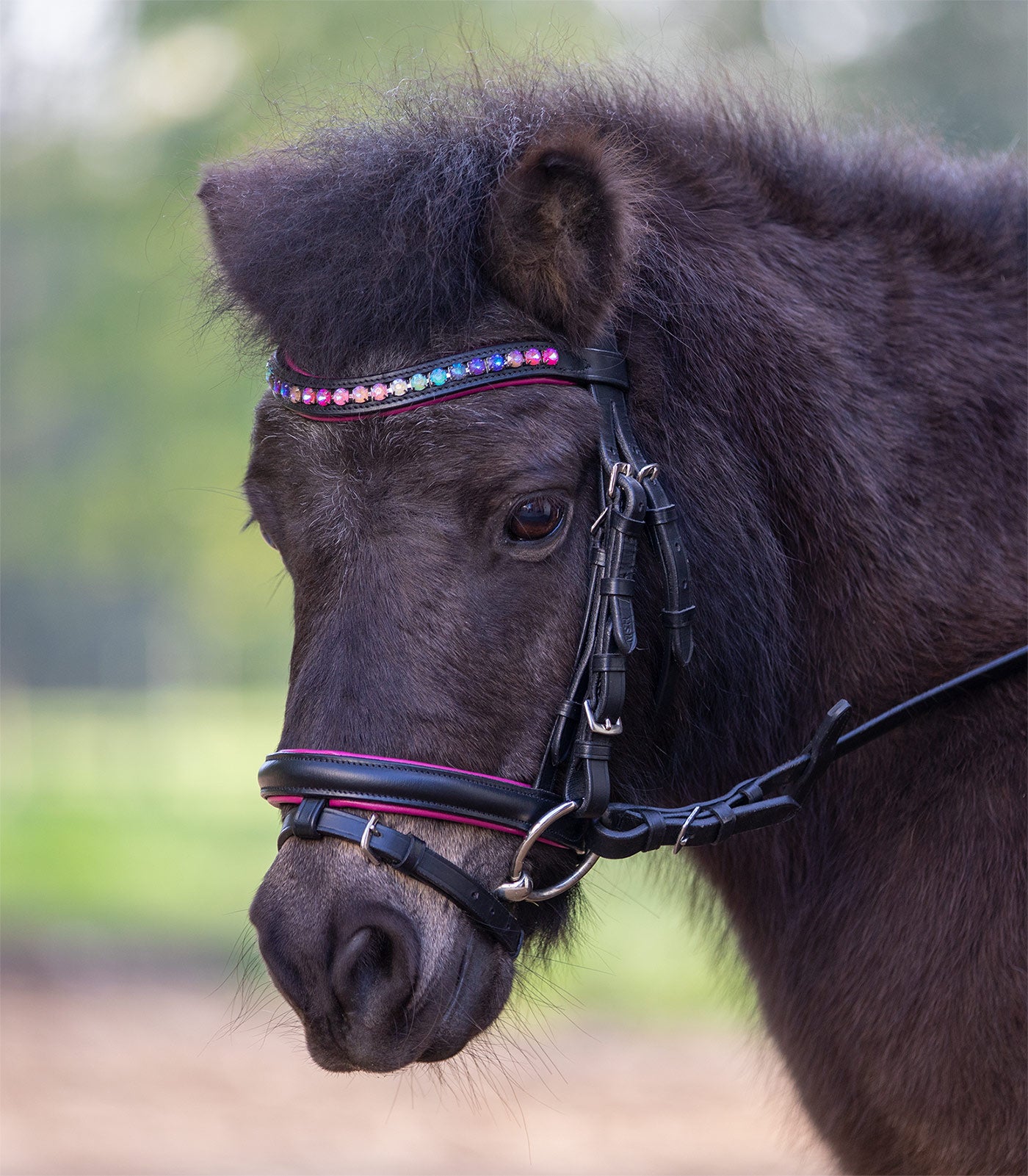Waldhausen STAR Trensenzaum Pinky Mini Shetty bis Pony