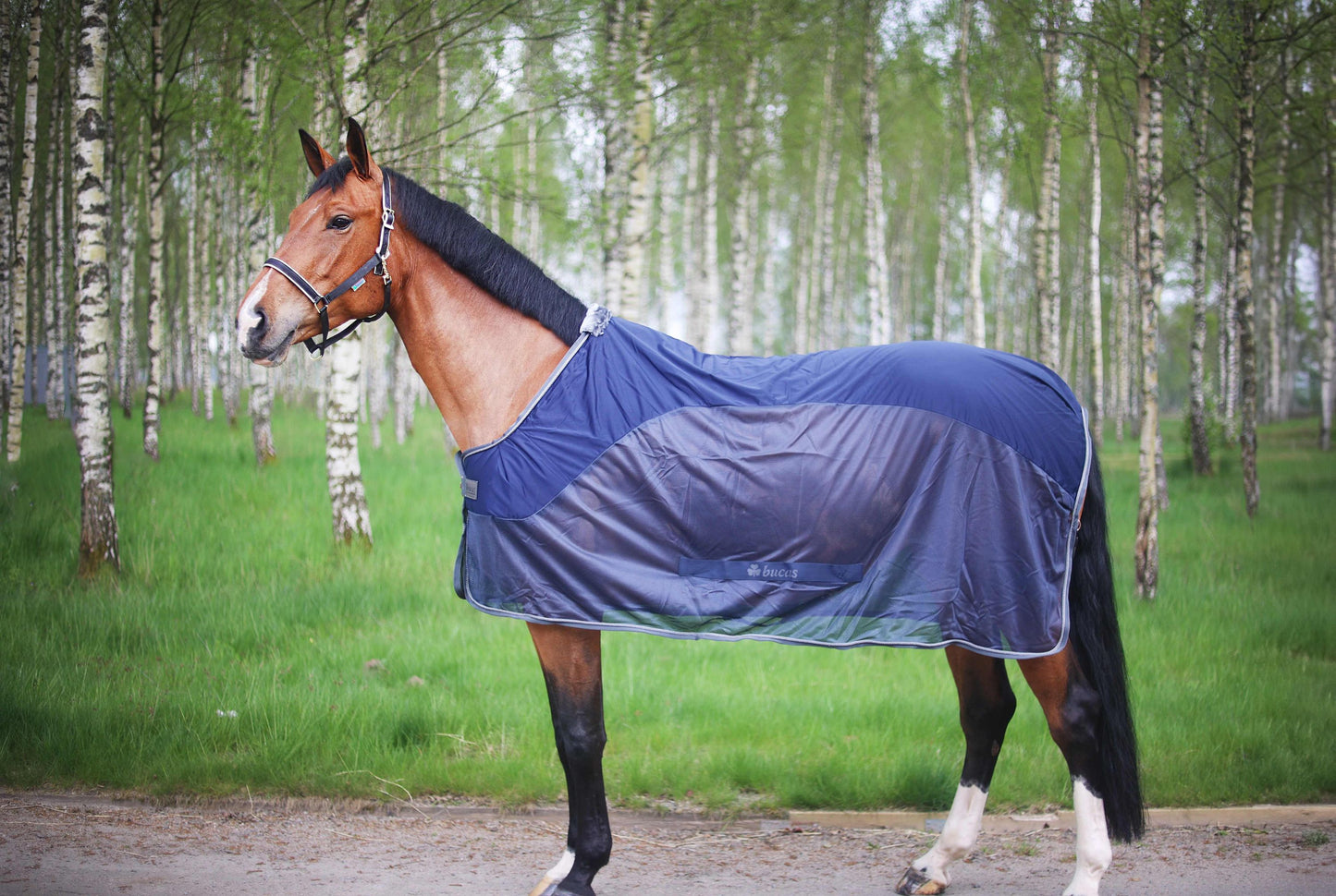 Bucas Show-Line Competition Cooler Abschwitzdecke
