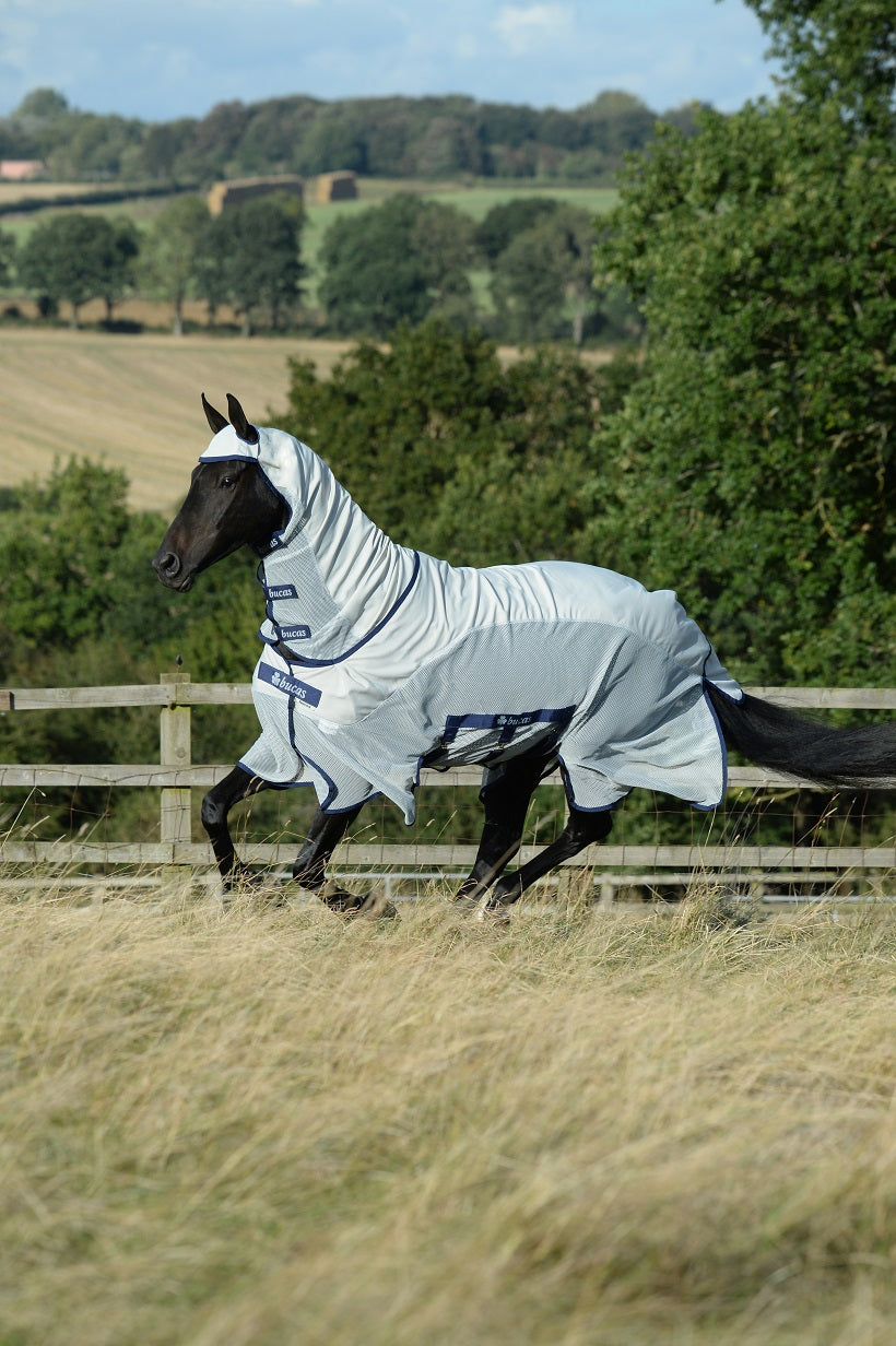 Bucas Sweet-itch X light Fliegendecke, Ekzemerdecke