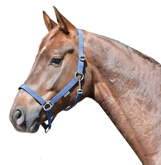 EQuest Halfter Regular in 2 Farben, stufenlos verstellbar, Beschlag Nickel Finish