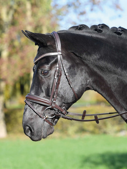 Trense COMFORT in schwarz und braun