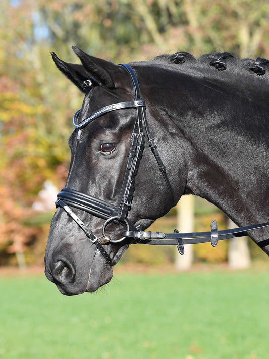Trense COMFORT in schwarz und braun