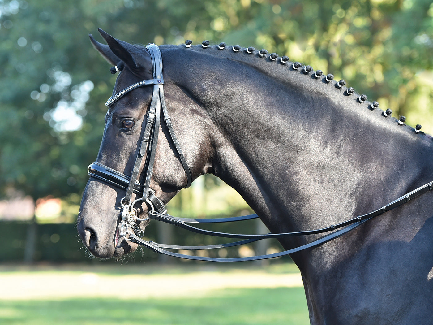 Kandare LUXURY in schwarz und braun, Kandarenzaum