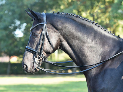 Kandare LUXURY in schwarz und braun, Kandarenzaum
