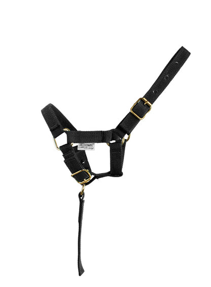 EQuest Halfter Fohlen mit Haltegriff, verschiedene Farben,Messing Finish