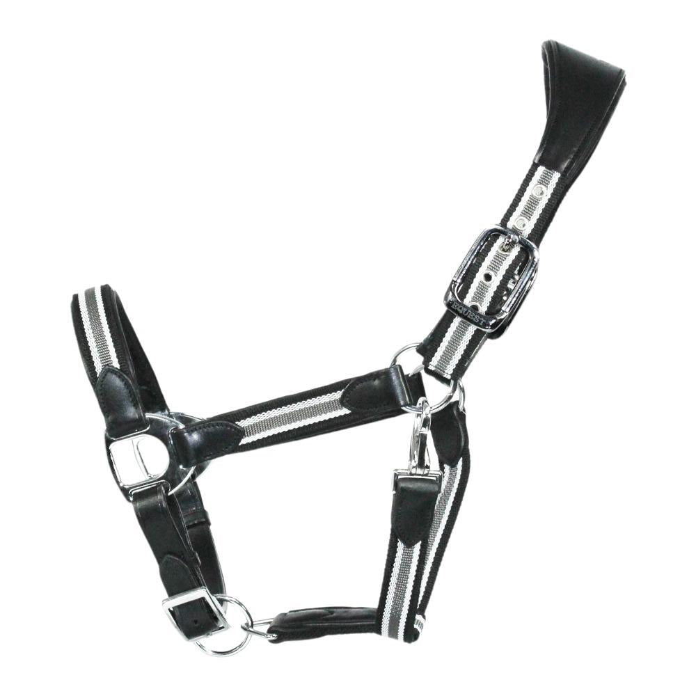 Equest Halfter Unique  Chrom Finish aus erstklassigem Gurtband mit Echtleder