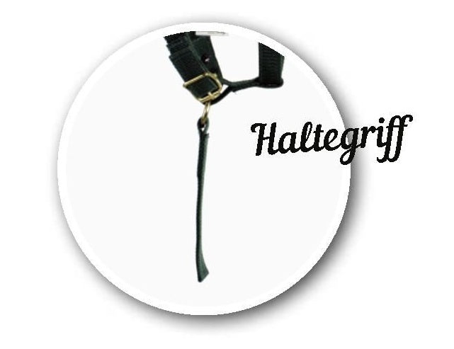 EQuest Halfter Dual Fohlen mit Haltegriff, zweifach verstellbar,Chrom Finish