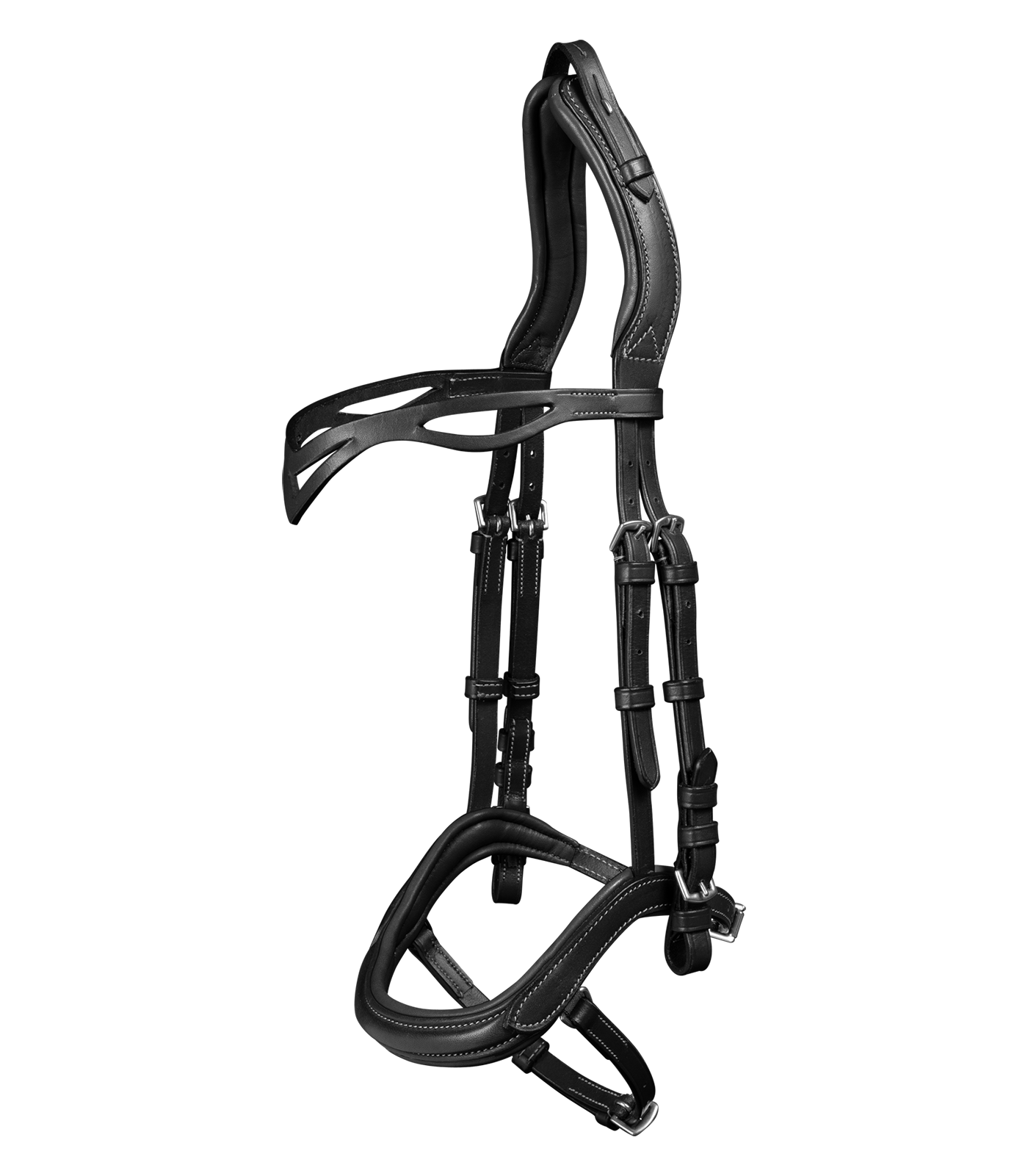 Waldhausen Island Trensenzaum anatomic