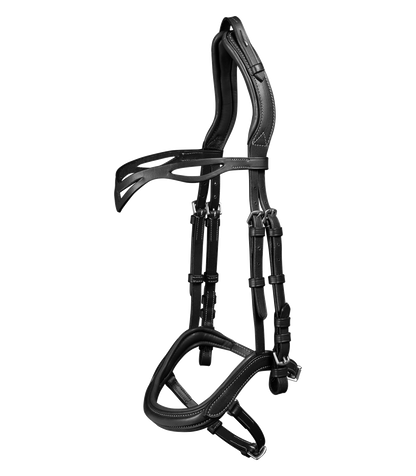 Waldhausen Island Trensenzaum anatomic