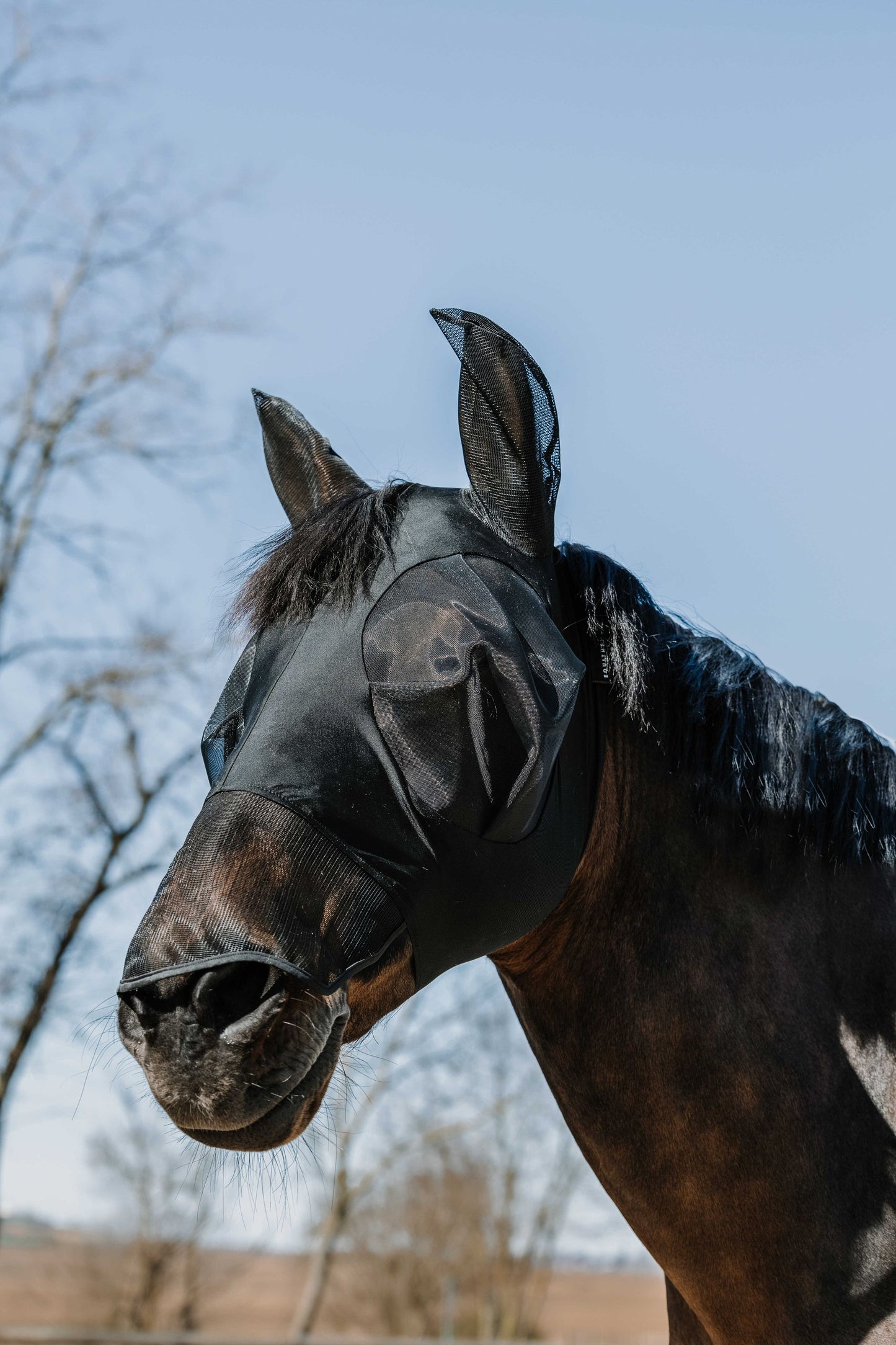 EQUITHÈME Lycra Fliegen-/UV-Maske + Nase Fliegenmaske