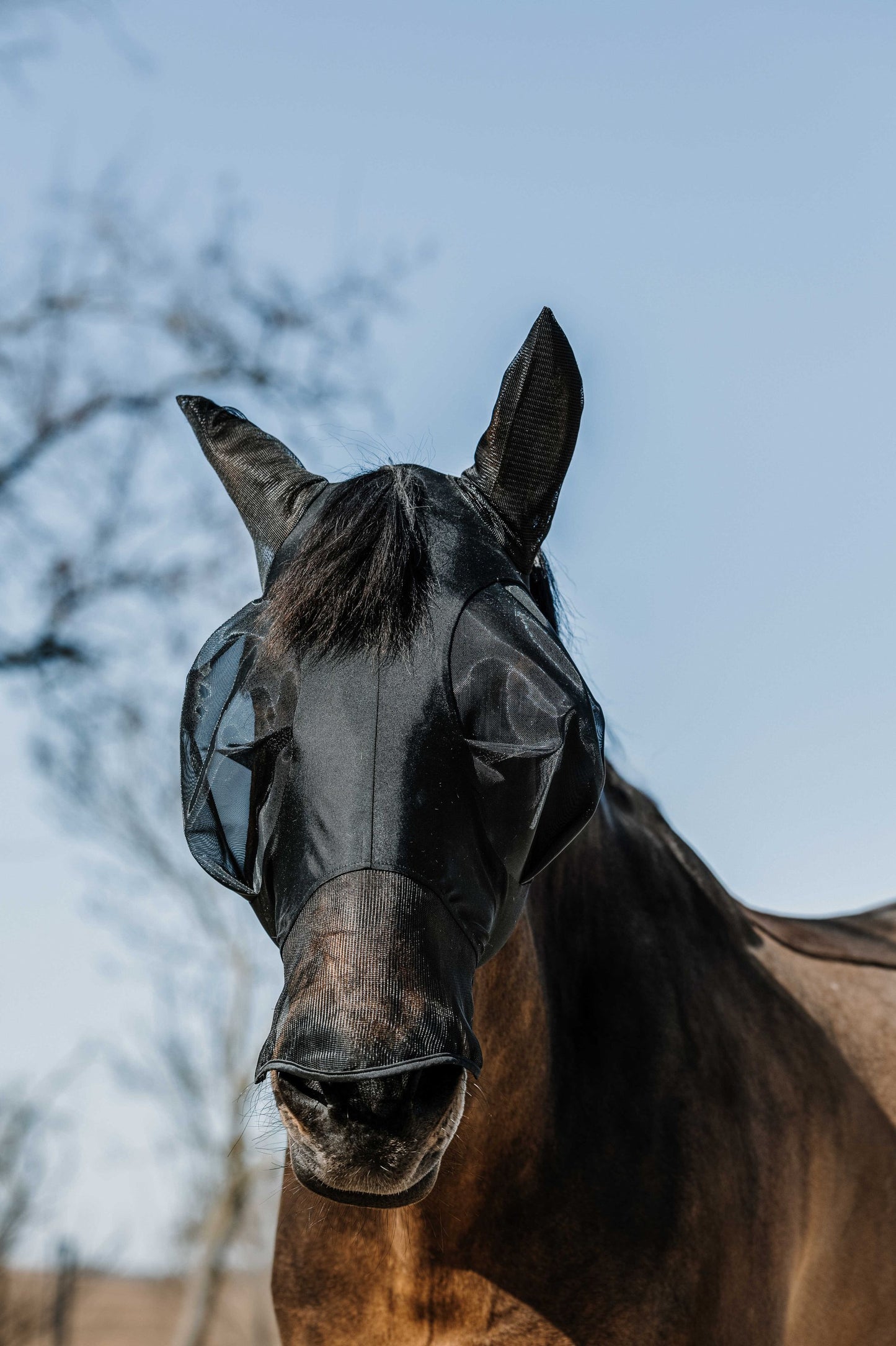 EQUITHÈME Lycra Fliegen-/UV-Maske + Nase Fliegenmaske