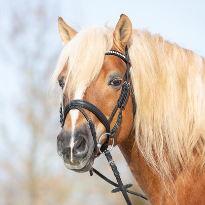 Kieffer Trensenzaum Ultrasoft® Haflinger in zwei Farben