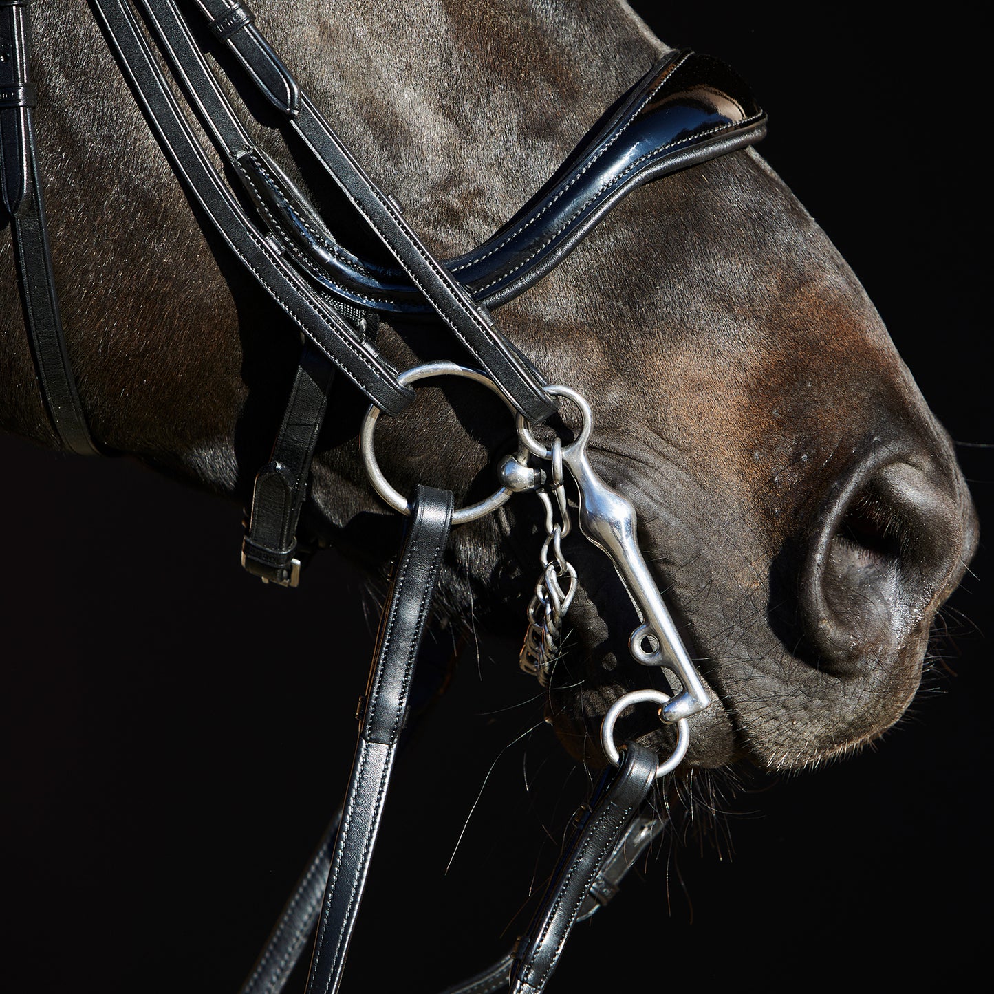 Kieffer Kandarenzaum Ultrasoft® Amy