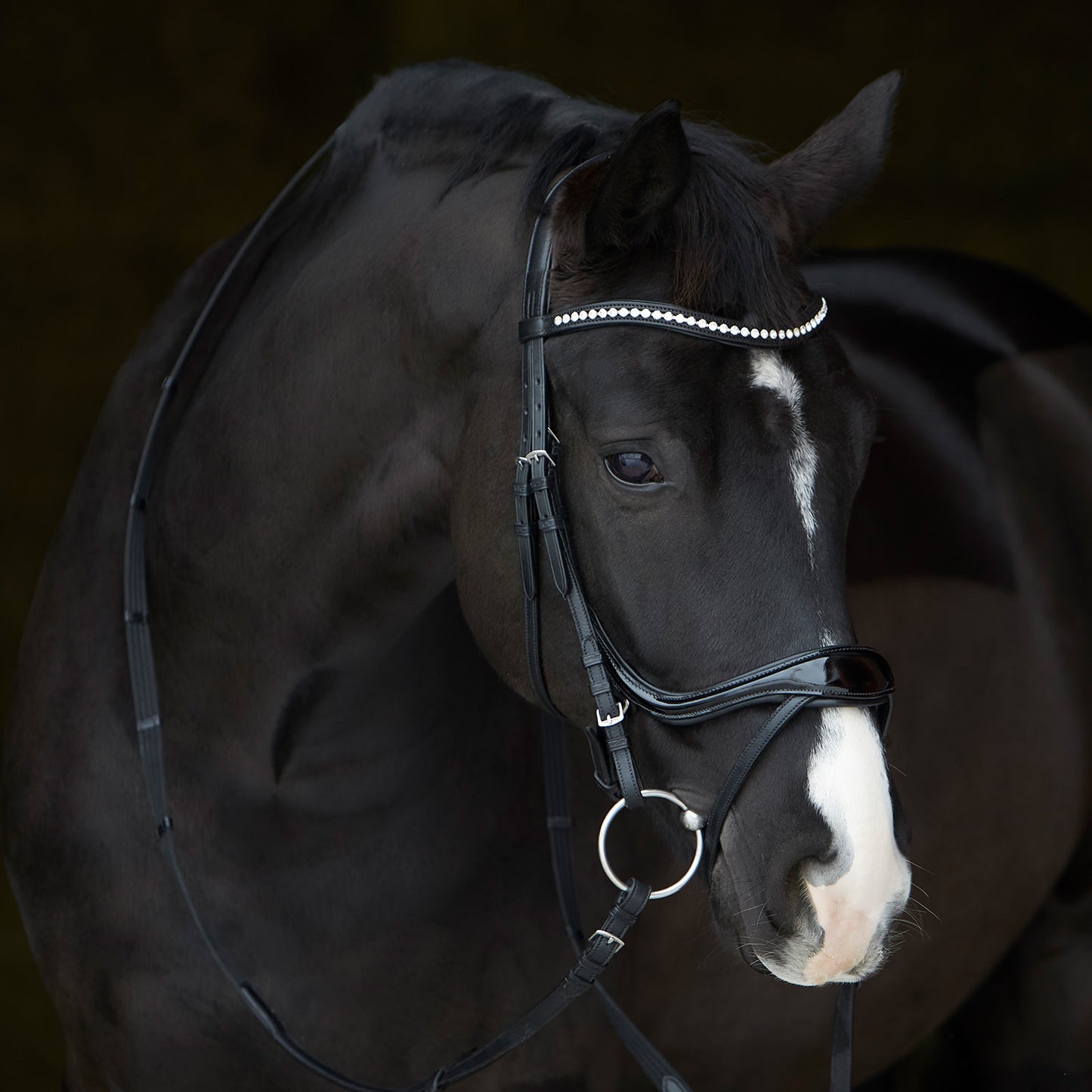 Kieffer Trensenzaum Ultrasoft® Amy Shine