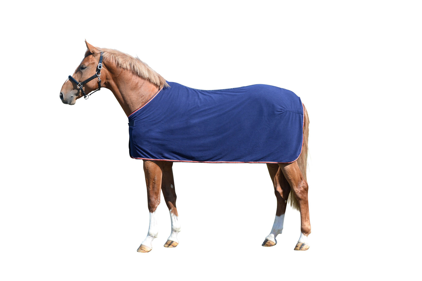 EQuest Abschwitzdecke Fleece REGULAR in Blau und Mocha