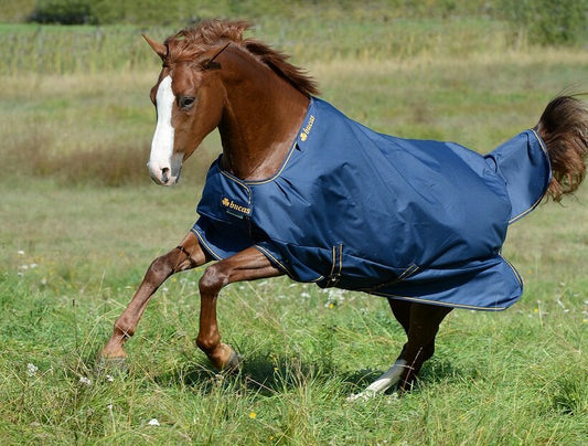 Bucas Irish Turnout Light 50 g, Weidedecke, Outdoordecke Navy/Gold