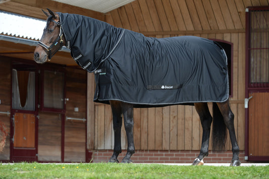 Bucas Shamrock Power Full Neck Transportdecke, Abschwitzdecke, Stalldecke