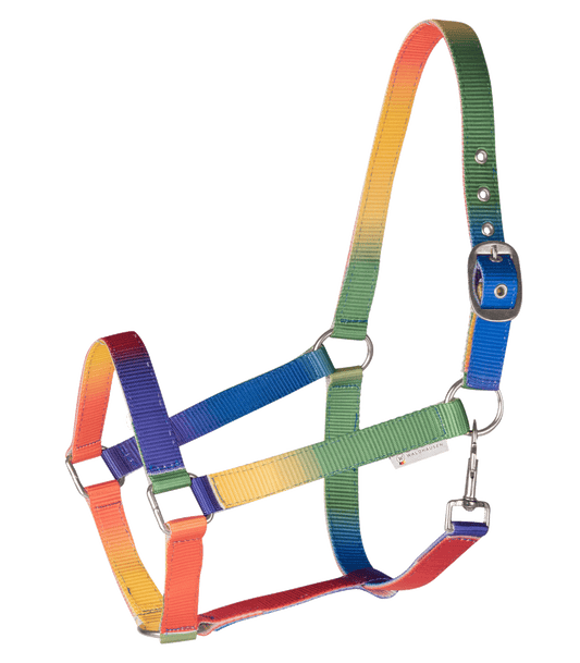 Waldhausen Halfter Regenbogen