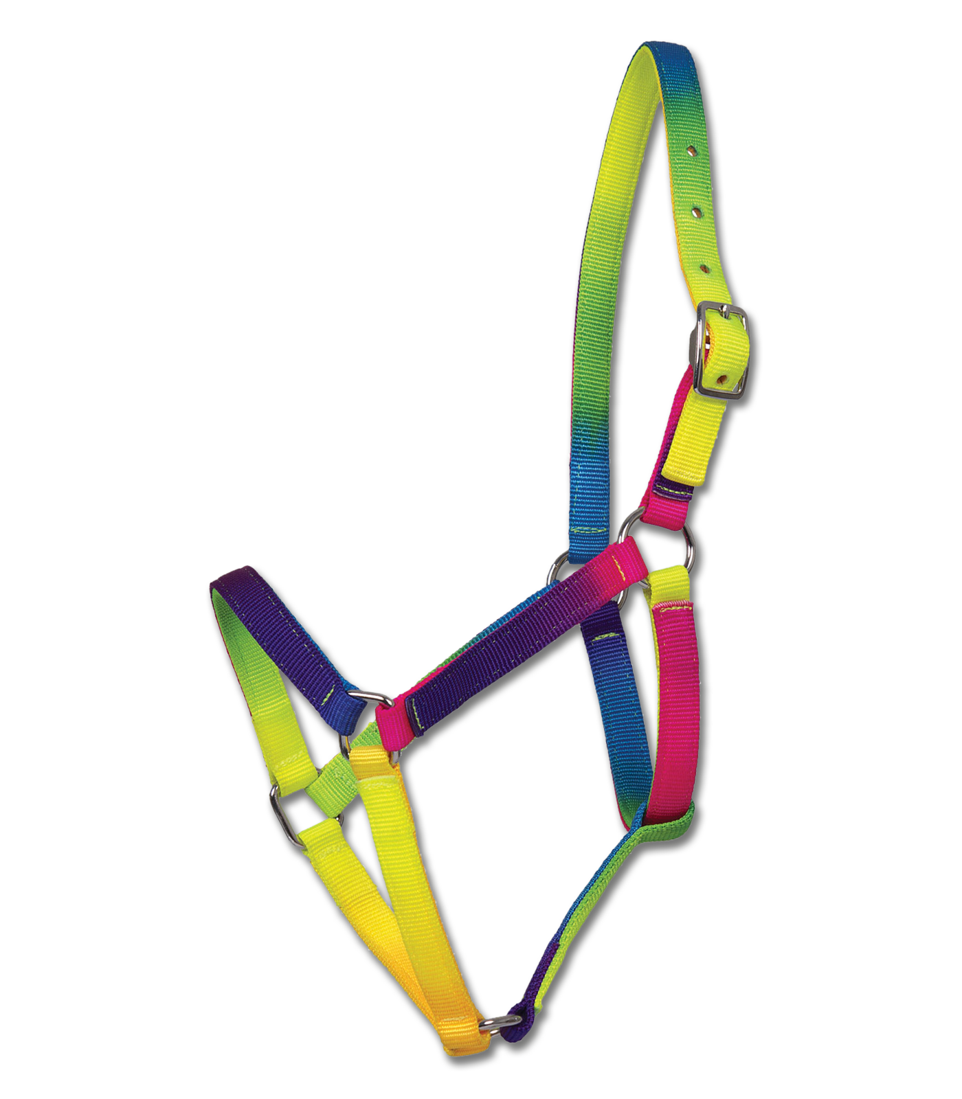 Waldhausen Halfter Regenbogen, VB und WB