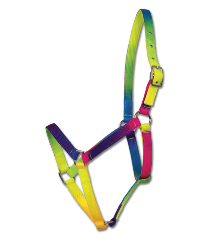 Waldhausen Halfter Regenbogen, VB und WB