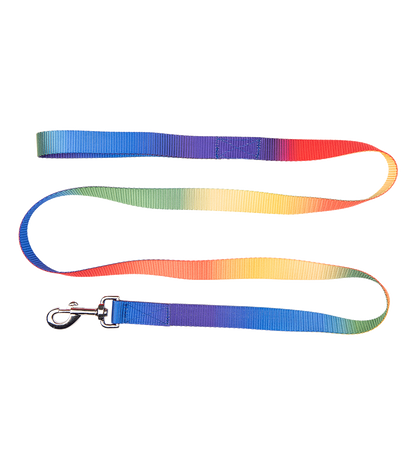 Waldhausen Führstrick Regenbogen