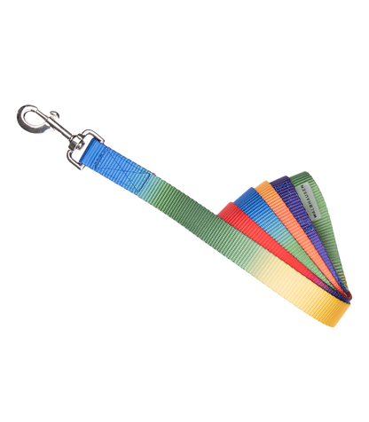 Waldhausen Führstrick Regenbogen