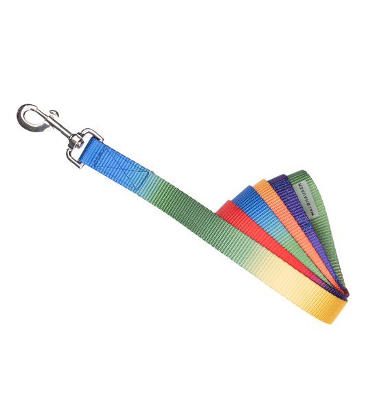 Waldhausen Führstrick Regenbogen