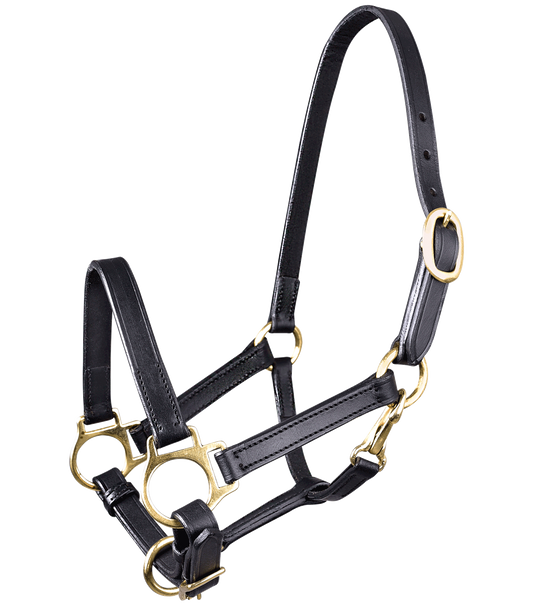 Waldhausen STAR Leder Fohlenhalfter