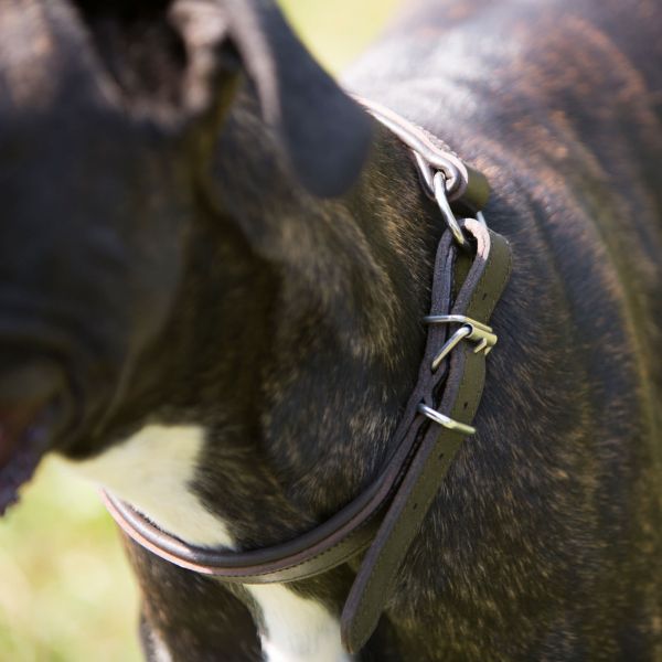 Kieffer Hunde Dressur-Halsband Ultrasoft® in schwarz oder braun