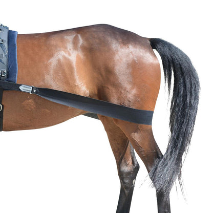 EQuest Körper Bandage Hinterhand Pferd