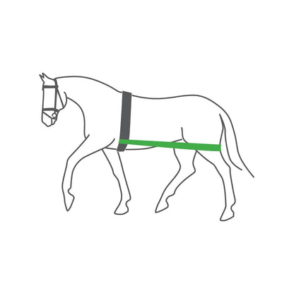 EQuest Körper Bandage Hinterhand Pferd