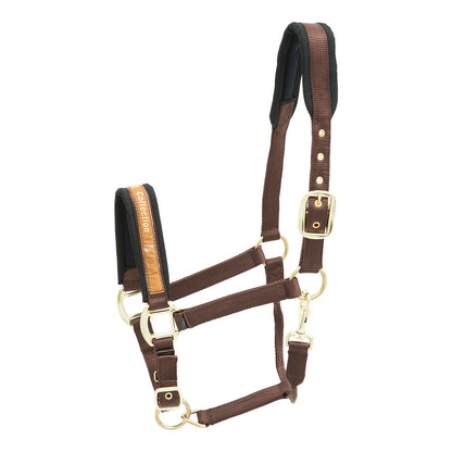 Kieffer Stallhalfter Nylon viele Farben