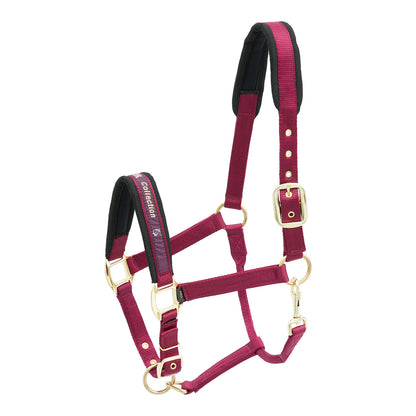 Kieffer Stallhalfter Nylon viele Farben