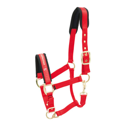 Kieffer Stallhalfter Nylon viele Farben