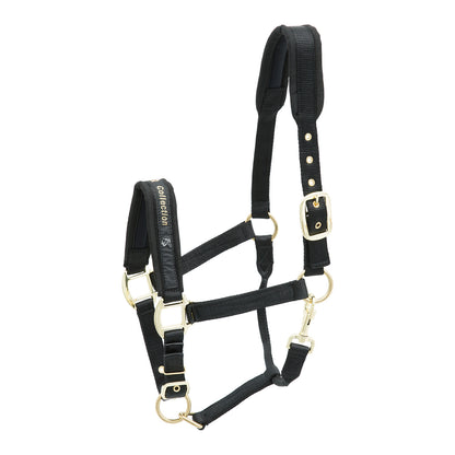 Kieffer Stallhalfter Nylon viele Farben