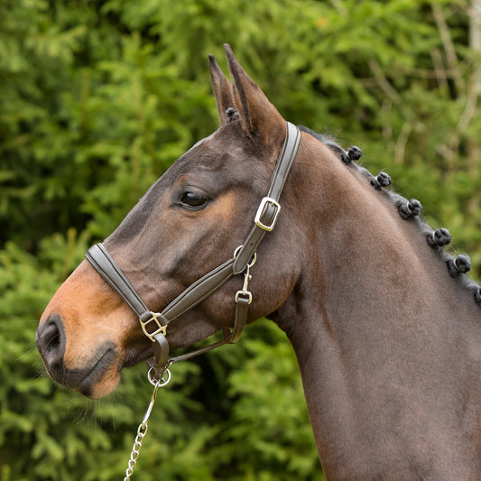Kieffer Leder-Stallhalfter Ultrasoft®