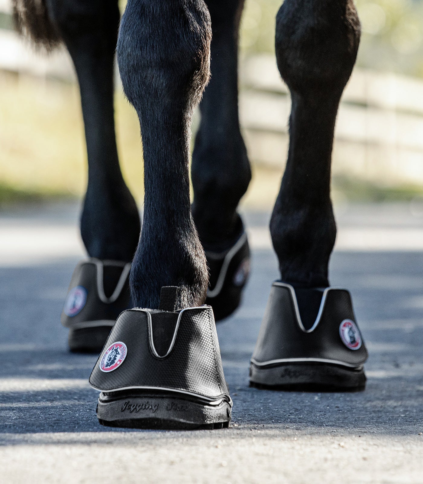 Waldhausen Equine Fusion® Active Jogging Shoe