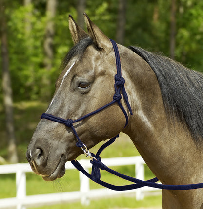 Knotenhalfter RINGE in verschiedenen Farben