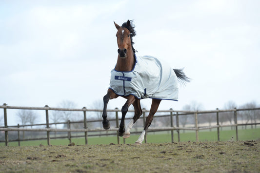 Bucas Power Turnout Light Big Neck 0 g, Weidedecke, Outdoordecke