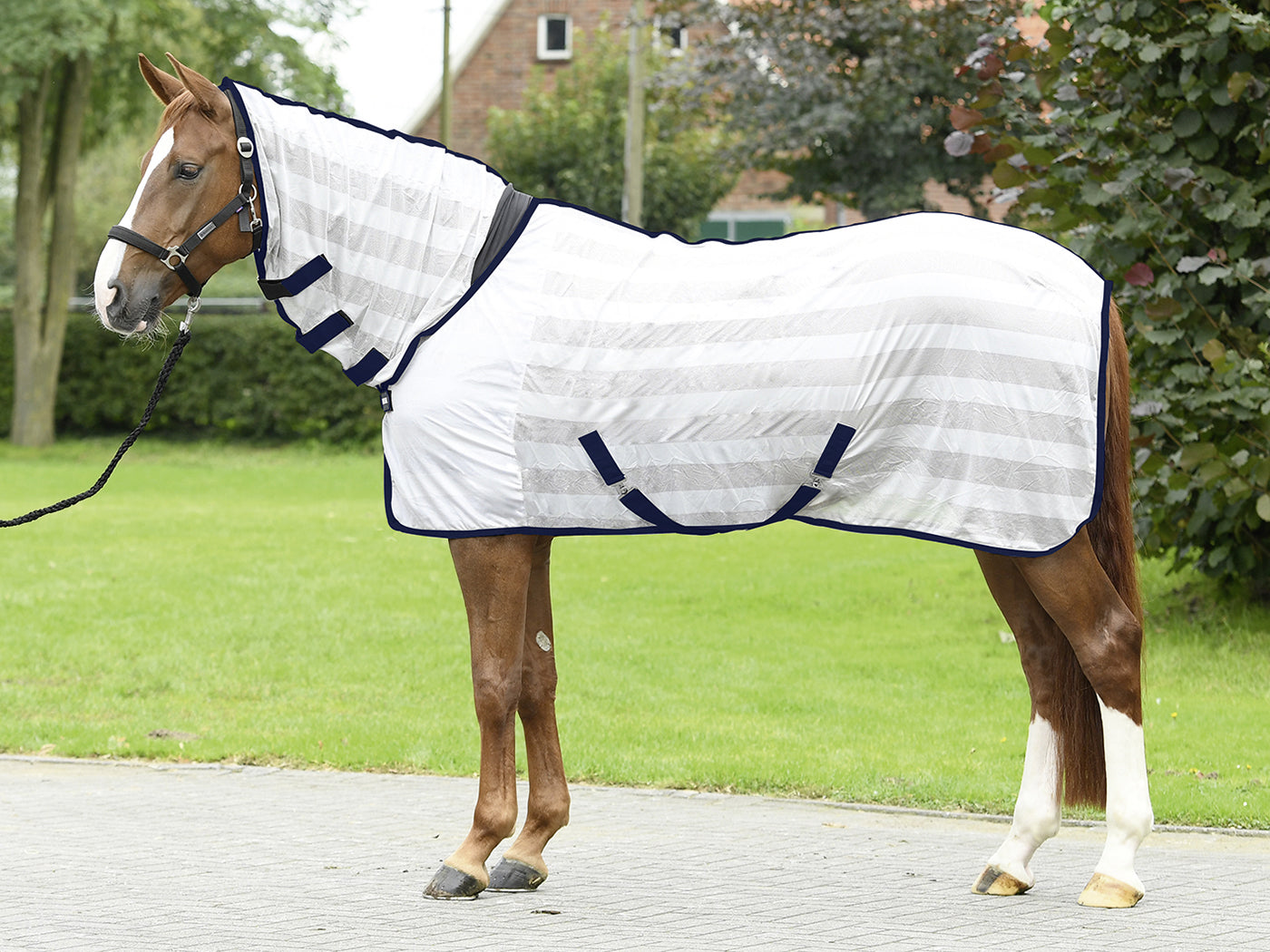 Transport-Fliegendecke STRIPE PLUS in Blau und Silber